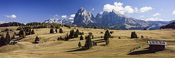 Golden Silence (South Tyrol, 2025)